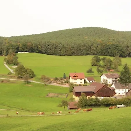 Ferienwohnung Hennrich بيت للعطل